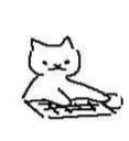 gato