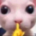 BJ_KittenSilent