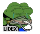 cb_LIDEX