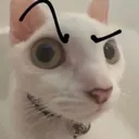 what~7 Discord Emoji