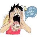 luffywhat