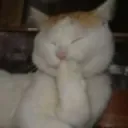 teehee