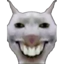 XX