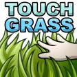 Touch_Grass