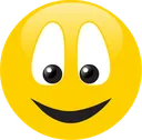 msp_ok msp_ok