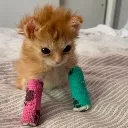 TH_tatertot