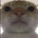 emoji_69