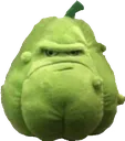 SQUASH