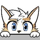 PeekyDoss