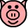 pig