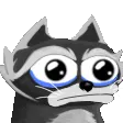 raccBlubbers raccBlubbers