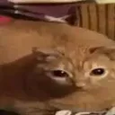 Gwagwa