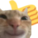 thumbsupcat
