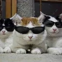 KITTYPOWERR Discord Emoji