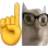 kopieernout