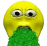 FR_vomit