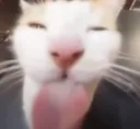 bleh bleh