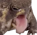 bleh
