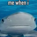 Shormk Shormk