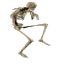Sneak_Across