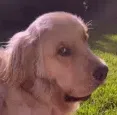uhhh