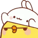 MPBongo