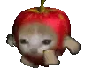 CatApple