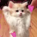 emoji_55