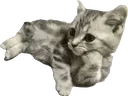 rooski