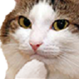 Discord Emote cathaha: