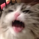 Aaaaaaaa