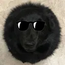 thisisthesunglassdog