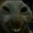 xdd xdd