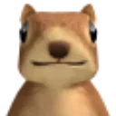 SquirrelStare