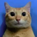 concern