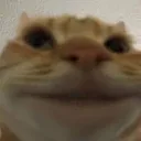 pleased