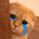 Cosmo_sob