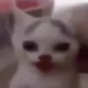 poggywoggt