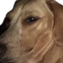 Millie_Sideeye