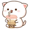 bobacat