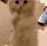 im_kitty_pretty_please_2