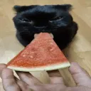 ZskwzXY_3