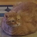 catloaf Discord Emoji