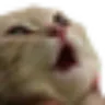 pogcat