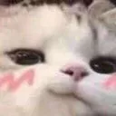 NekoSmug