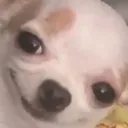 smile