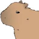 capyhup