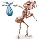 bindle