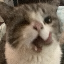 ChoobyYum Discord emoji