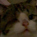 choobybebe Discord emoji